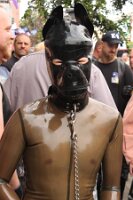 IMG_6516