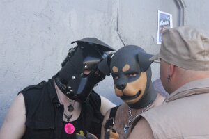 IMG_7970