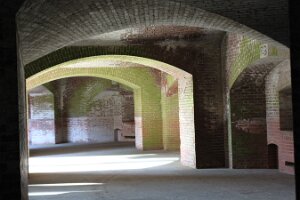 IMG_7017
