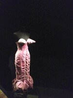 IMG_1306