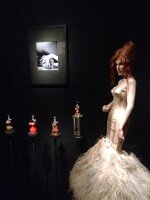 IMG_1312