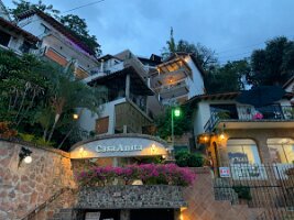 IMG_1783 (1)