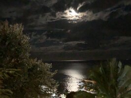 IMG_2083